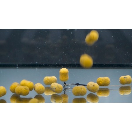 CCMoore Live System Dumbell Wafter 10x15