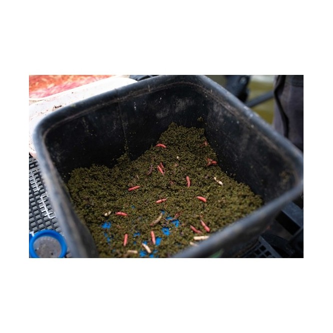 PRO GROUNDBAIT 900 g - THATCHERS GREEN Sonubaits