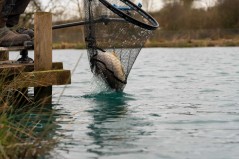 Preston Innovation Carp XS Landing Net