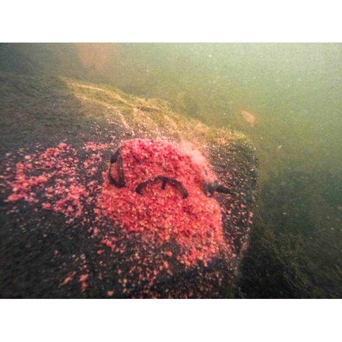 Korum Camo River Method