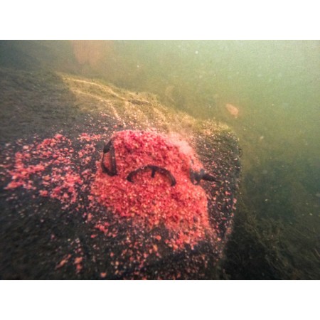 Korum Camo River Method