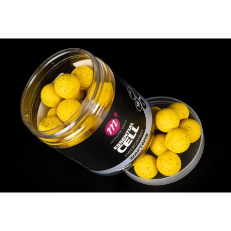 Inneschi Balanced Wafters Mainline