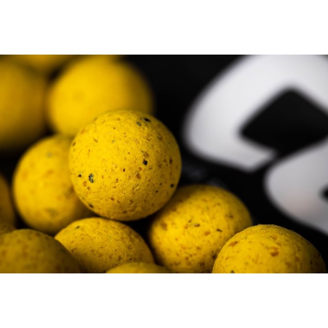 SHELF LIFE BOILIES ESSENTIAL CELL Mainline