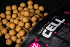 SHELF LIFE BOILIES CELL Mainline