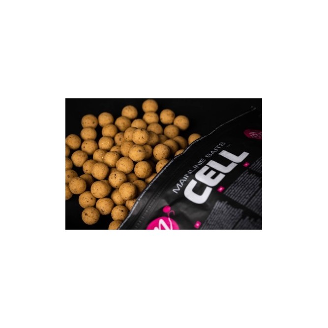 SHELF LIFE BOILIES CELL Mainline
