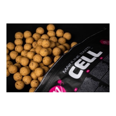 SHELF LIFE BOILIES CELL Mainline