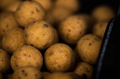 SHELF LIFE BOILIES CELL Mainline