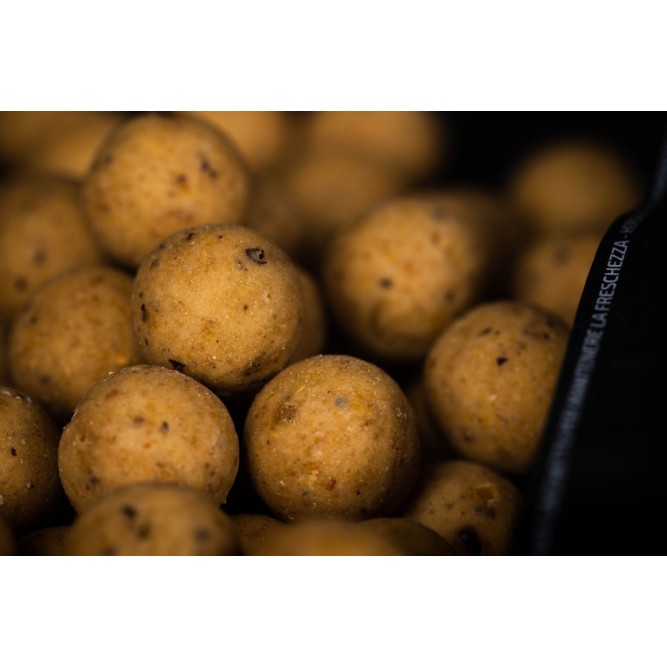 SHELF LIFE BOILIES CELL Mainline