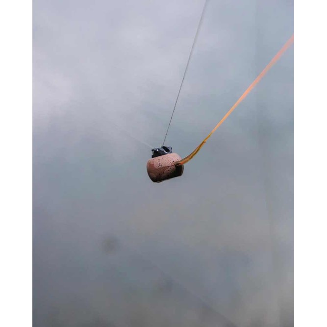 Fox Captive Back Weight