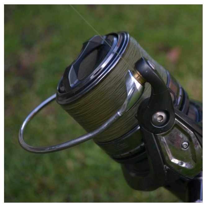 Katran Synapse Carp