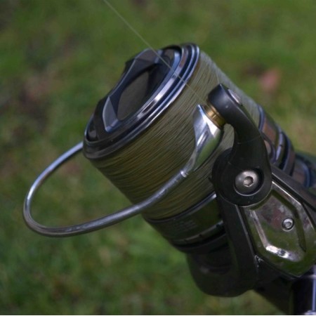 Katran Synapse Carp