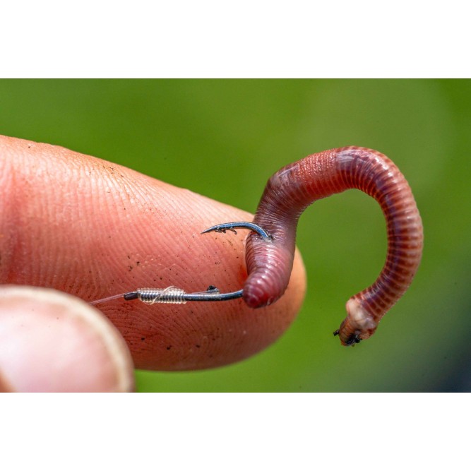 Preston Natural N-60