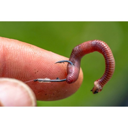 Preston Natural N-60