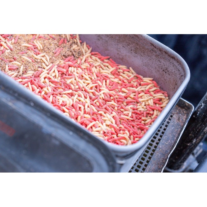 Guru Fusion Ventilator Combo 5