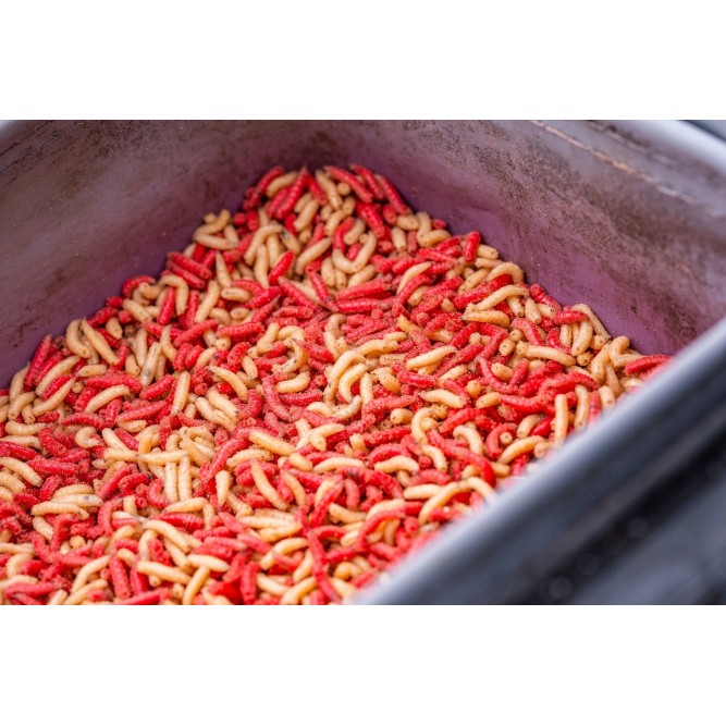 Guru Fusion Ventilator Combo 5