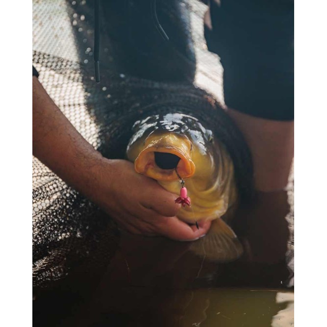 Fox Carp Ready Rigs Fluoro D-Rig