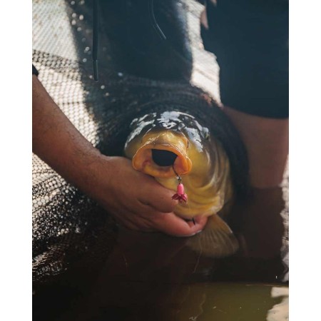 Fox Carp Ready Rigs Fluoro D-Rig