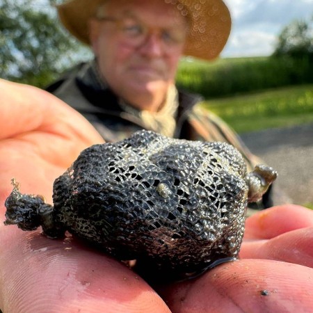 Fjuka Sensate Fish Accelerant Attractant Halibut 95ml