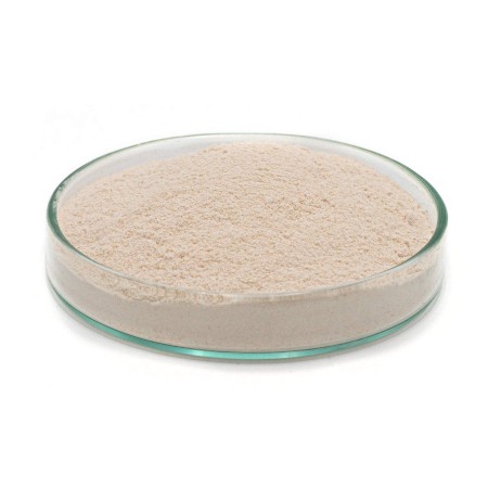 MILK B+ Feedstimulants