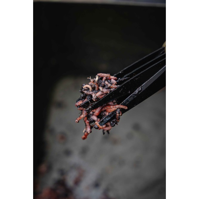 Avid Carp Worm Choppers