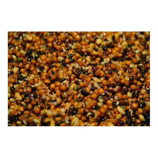 FRENZIED MIXED PARTICLES Dynamite Baits