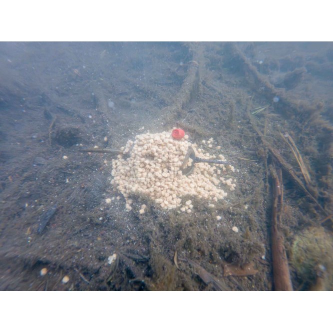 Korum Double Method Feeder