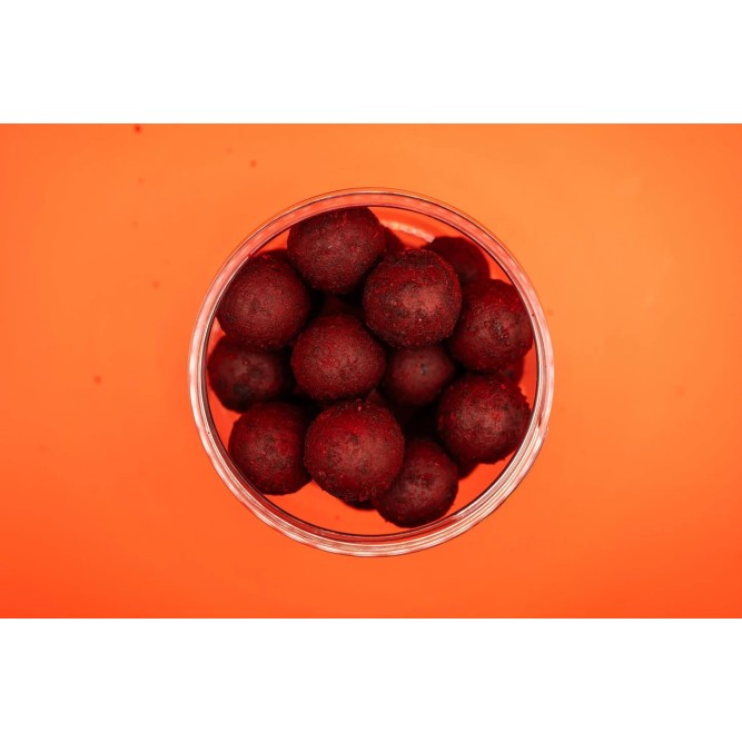 Forgotten Flavours Orient Specials wafter 20mm