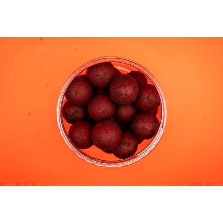 Forgotten Flavours Orient Specials wafter 20mm