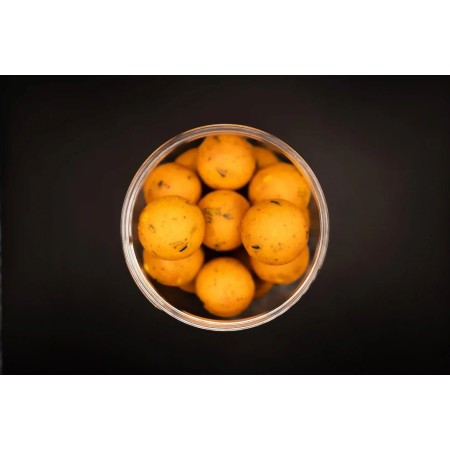 Forgotten Flavours Scopex Hard Hookbaits