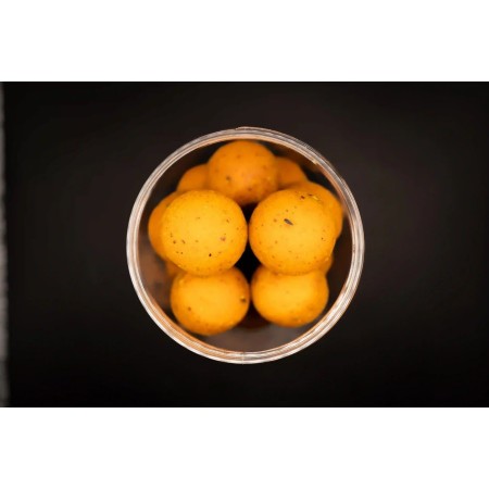 Forgotten Flavours Scopex Hard Hookbaits