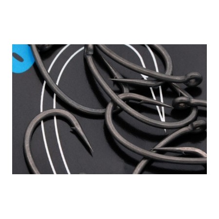 Ami Kurv Shank Korda