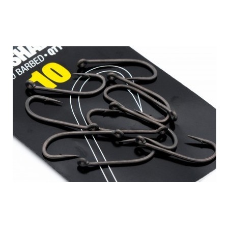 Ami Longshank X Korda