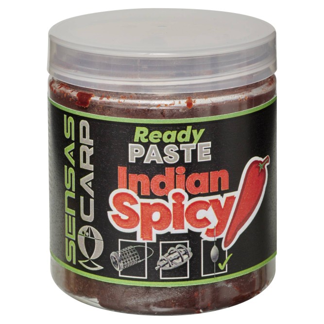 READY PASTE INDIAN SPICY 250 G